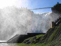 IMG 0694