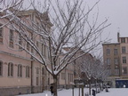 PC283451