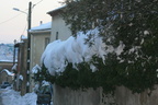 IMG 4380