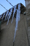 IMG 4398