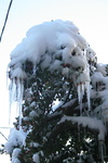 IMG 4401