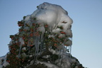 IMG 4403