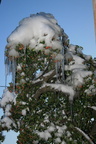 IMG 4404