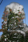 IMG 4405