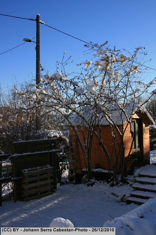IMG_7403.jpg