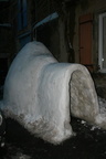 IMG 4411