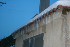 IMG 4431