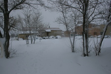 IMG 4029