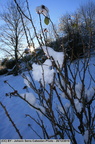 IMG 7406