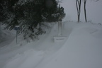 IMG 4041