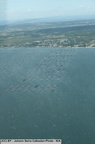 IMG 8253