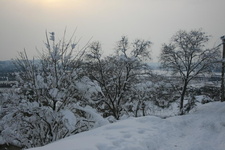 IMG 4144