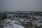 IMG 4149