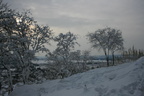 IMG 4158