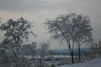 IMG 4161