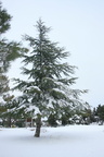 IMG 4179