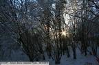 IMG 7426