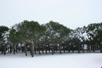 IMG 4180