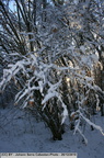IMG 7430