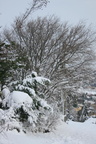 IMG 4216