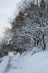 IMG 4228