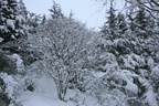 IMG 4229