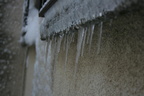 IMG 4236