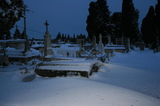IMG 4257