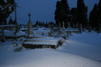 IMG 4257