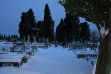 IMG 4259