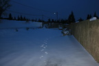 IMG 4281