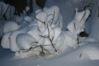 IMG 4284