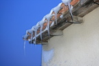 IMG 4296