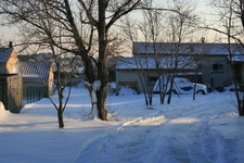 IMG 4320