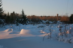 IMG 4341