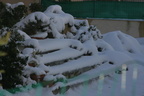 IMG 4371