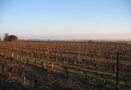 paysage maguelone-01