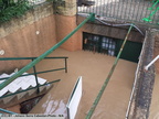 2014 10 11 crue-gardon-2-011