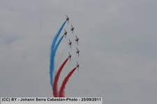 IMG 9141