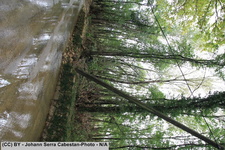 2014 10 11 crue-gardon-2-037
