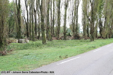 2014 10 11 crue-gardon-2-046