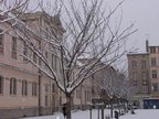 PC283451