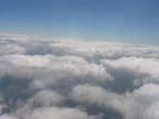 IMG 0475