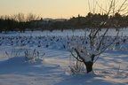 IMG 4347